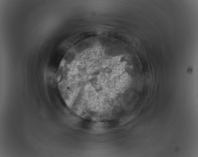 X0000092270527200710051342