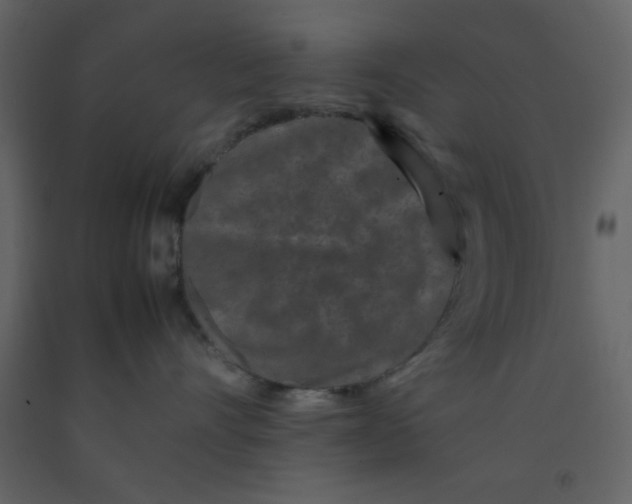 X0000092270528200710051342