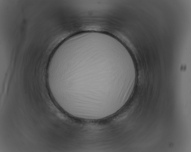 X0000092270529200710051341