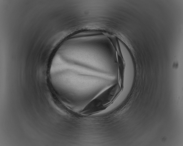 X0000092270530200710051341