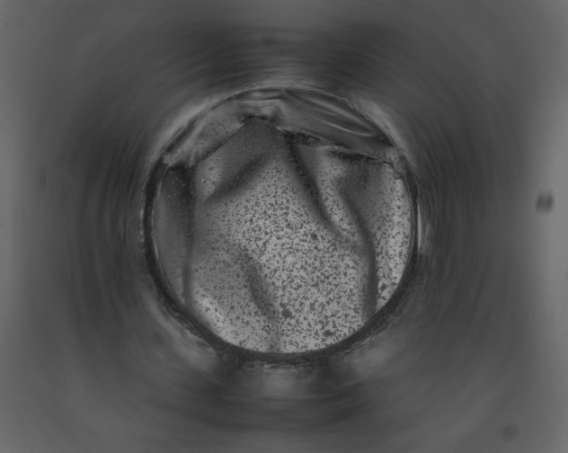 X0000092270531200710051341