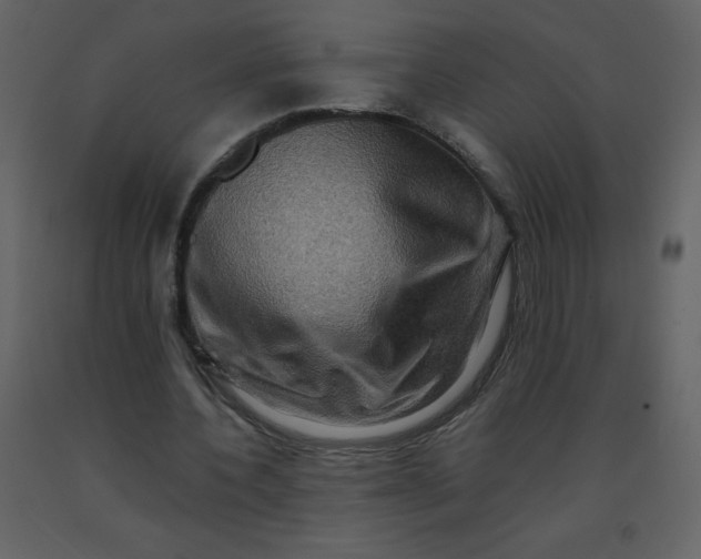 X0000092270532200710051341