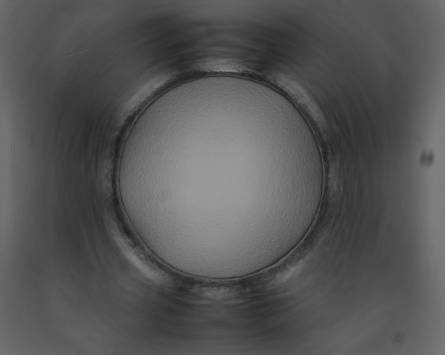 X0000092270533200710051341