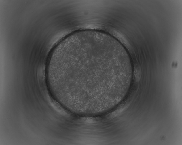 X0000092270534200710051341