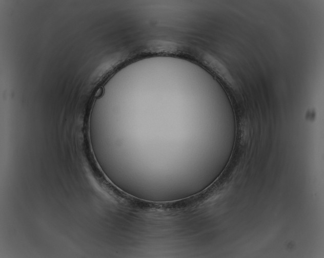 X0000092270538200710051342