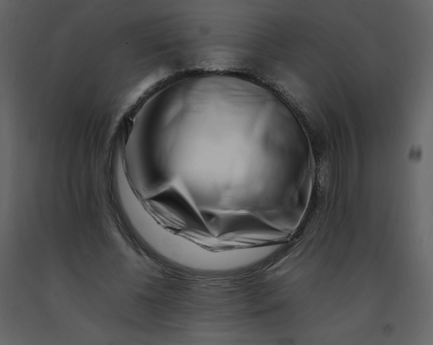 X0000092270540200710051342