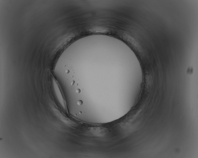 X0000092270541200710051342