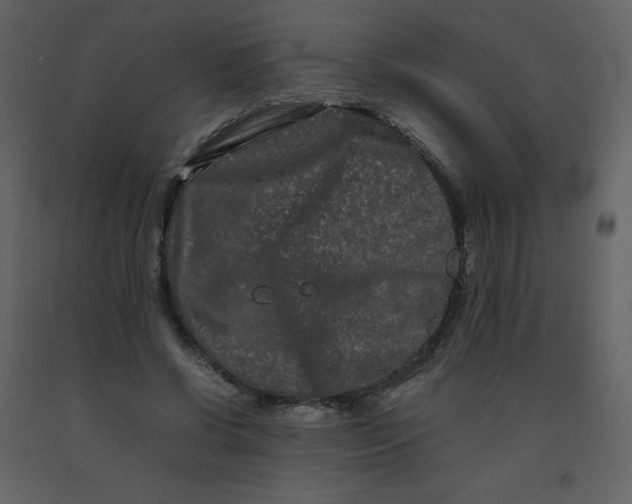 X0000092270542200710051342