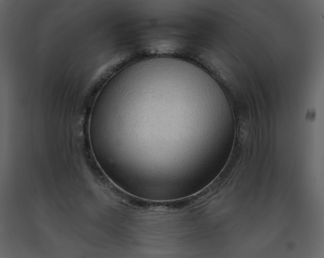 X0000092270543200710051342