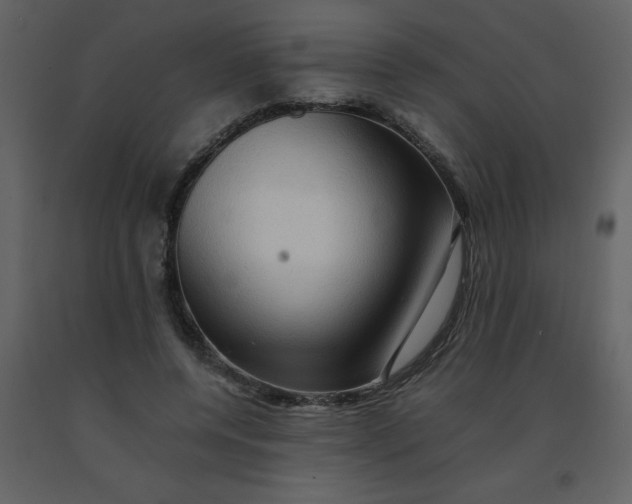 X0000092270544200710051342