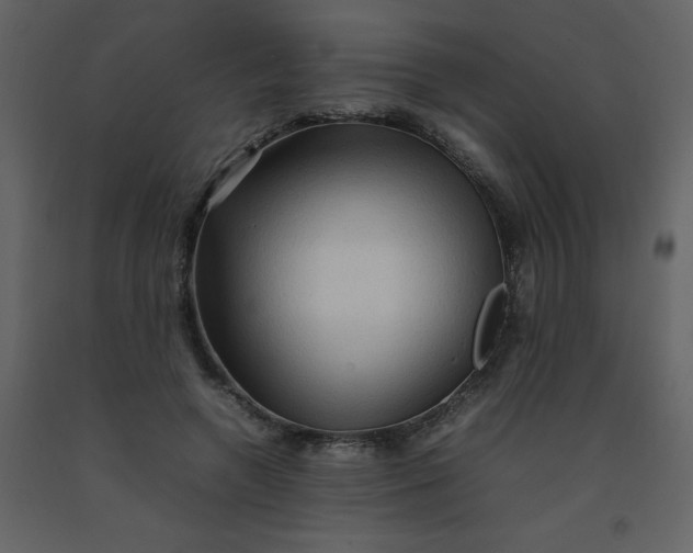 X0000092270546200710051342