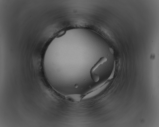 X0000092270548200710051342