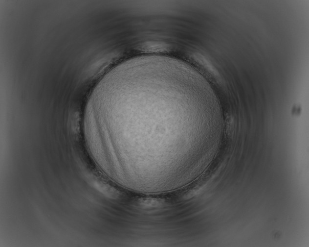 X0000092270549200710051342