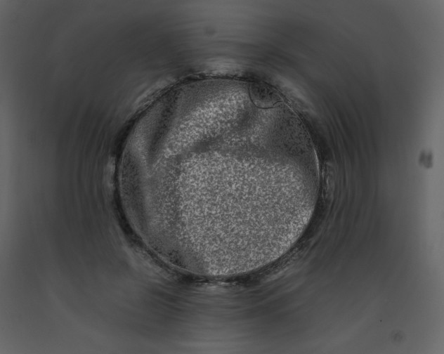 X0000092270550200710051342