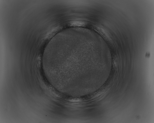 X0000092270551200710051342