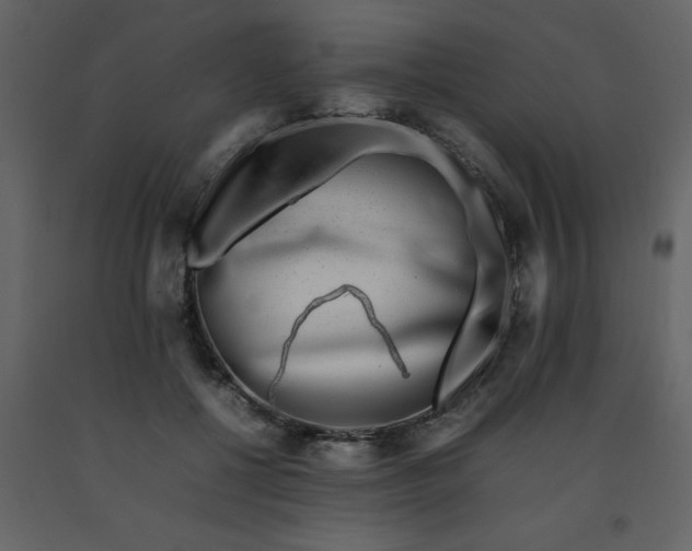 X0000092270552200710051342