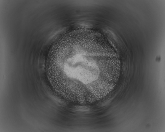 X0000092270553200710051342