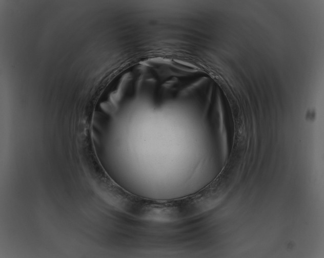 X0000092270555200710051342