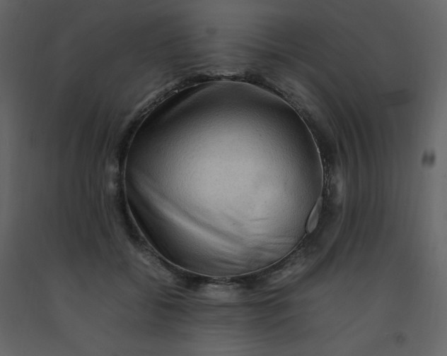 X0000092270556200710051342