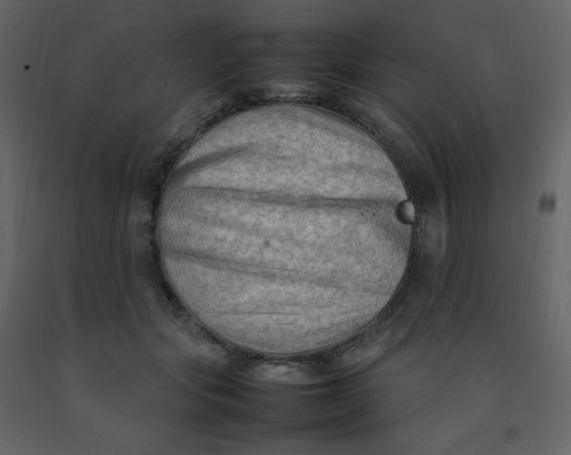 X0000092270557200710051342