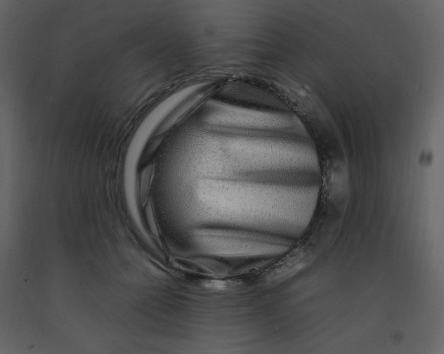 X0000092270558200710051342