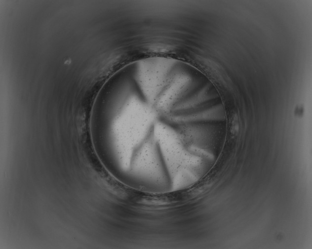 X0000092270559200710051342