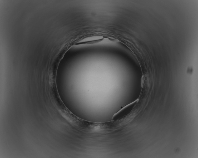 X0000092270564200710051342