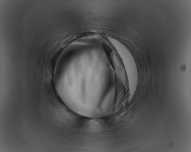 X0000092270566200710051342