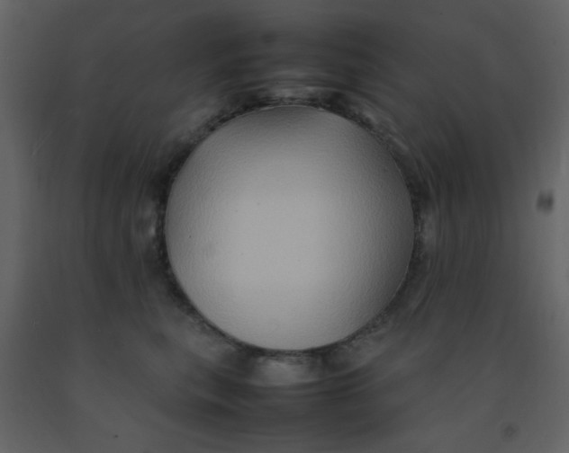 X0000092270567200710051342