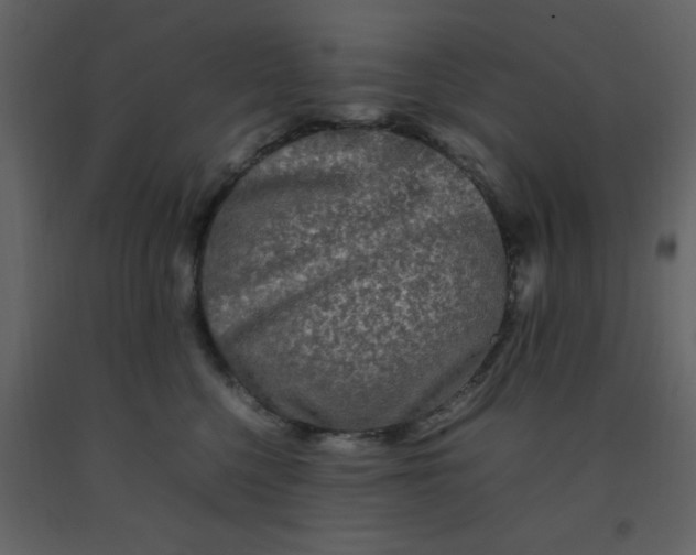 X0000092270568200710051342