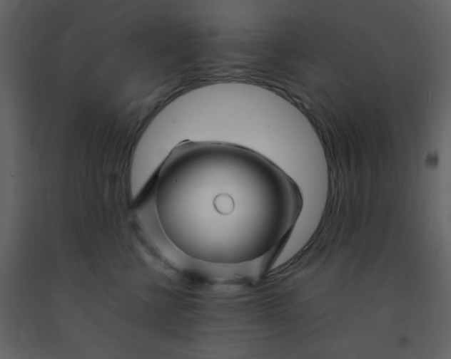 X0000092270570200710051342