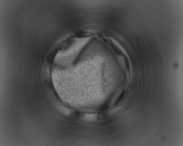 X0000092270573200710051342