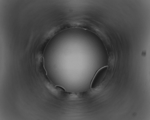 X0000092270574200710051342