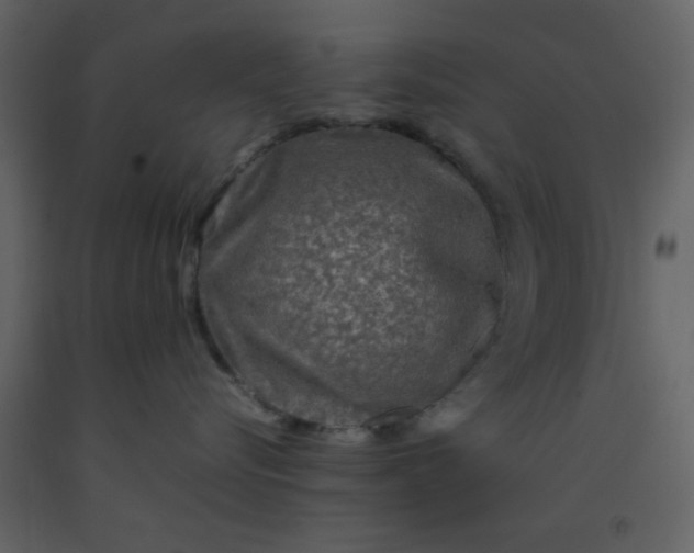 X0000092270576200710051342