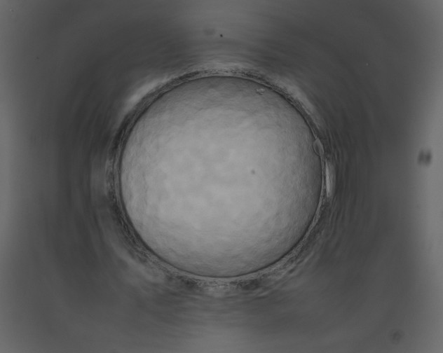 X0000092270579200710051341