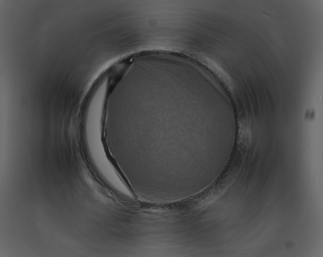 X0000092270580200710051341