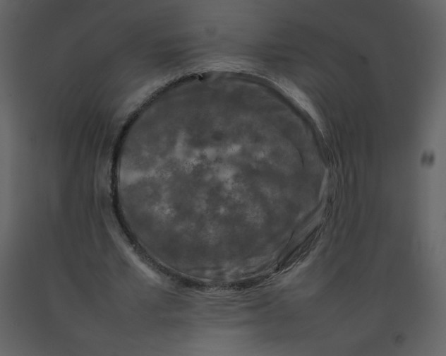 X0000092270581200710051341