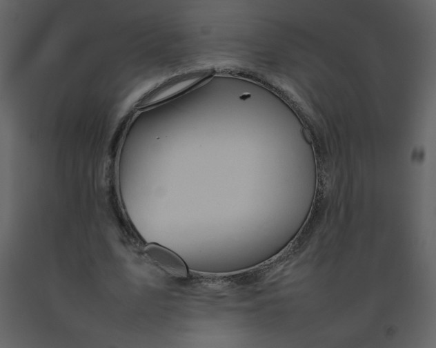 X0000092270583200710051341