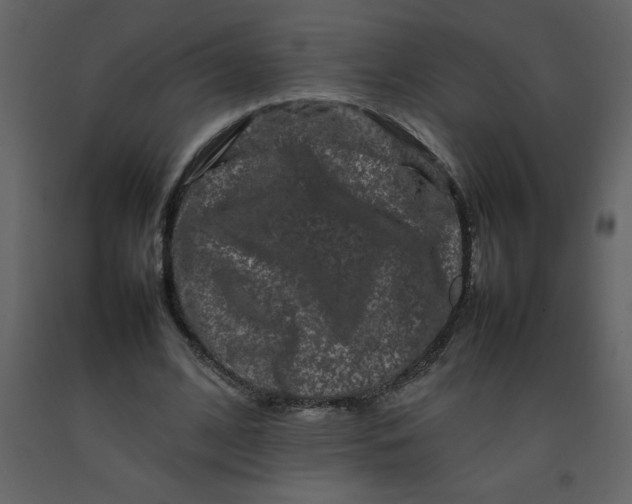 X0000092270584200710051341