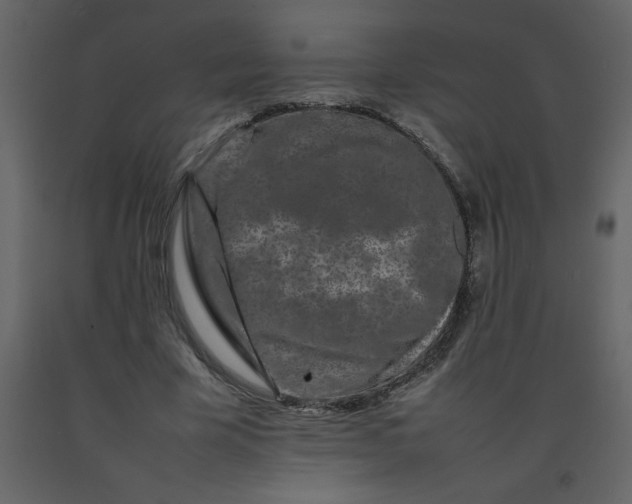 X0000092270585200710051341