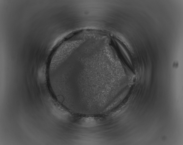 X0000092270588200710051341