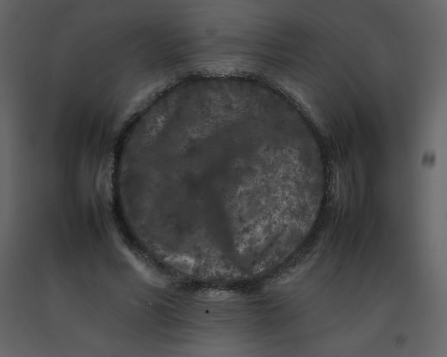 X0000092270590200710051341