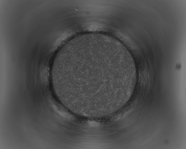 X0000092270592200710051341