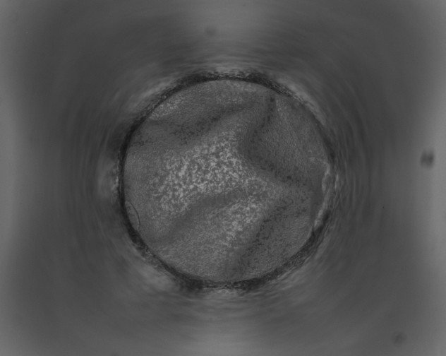 X0000092270593200710051341