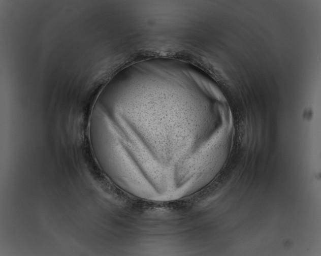 X0000092270594200710051341