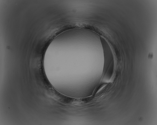 X0000092270595200710051341