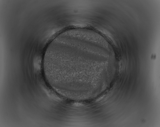 X0000092270596200710051341