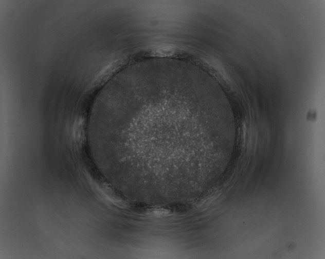 X0000092270598200710051341