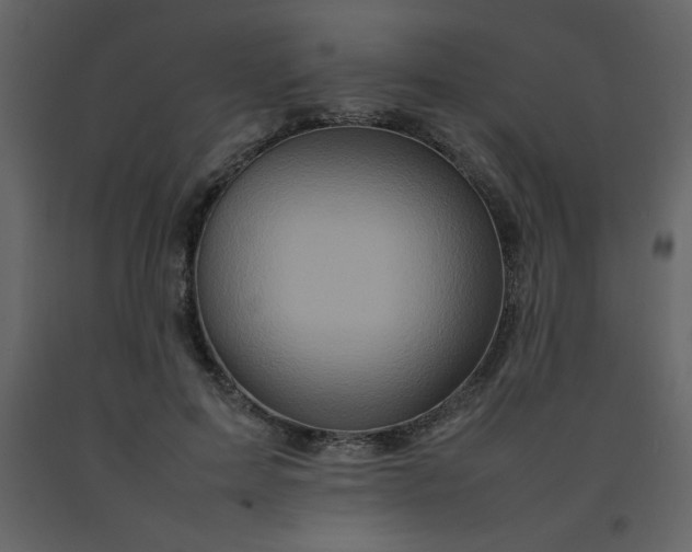 X0000092270599200710051341