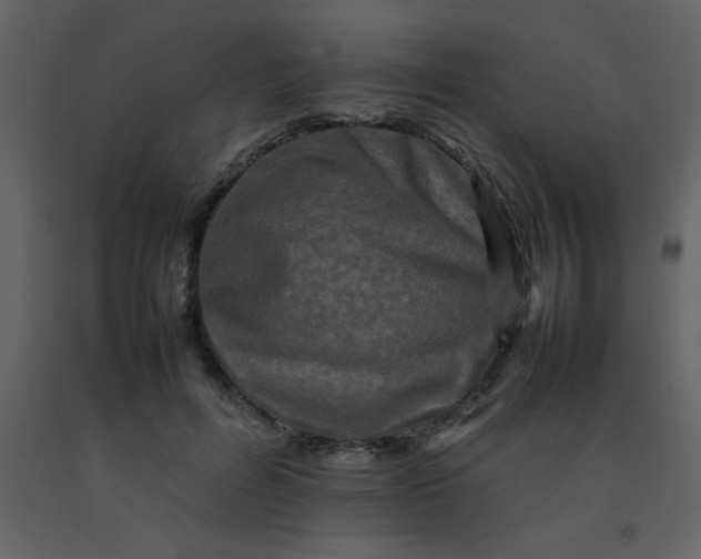 X0000092270600200710051341